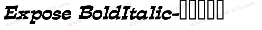 Expose BoldItalic字体转换